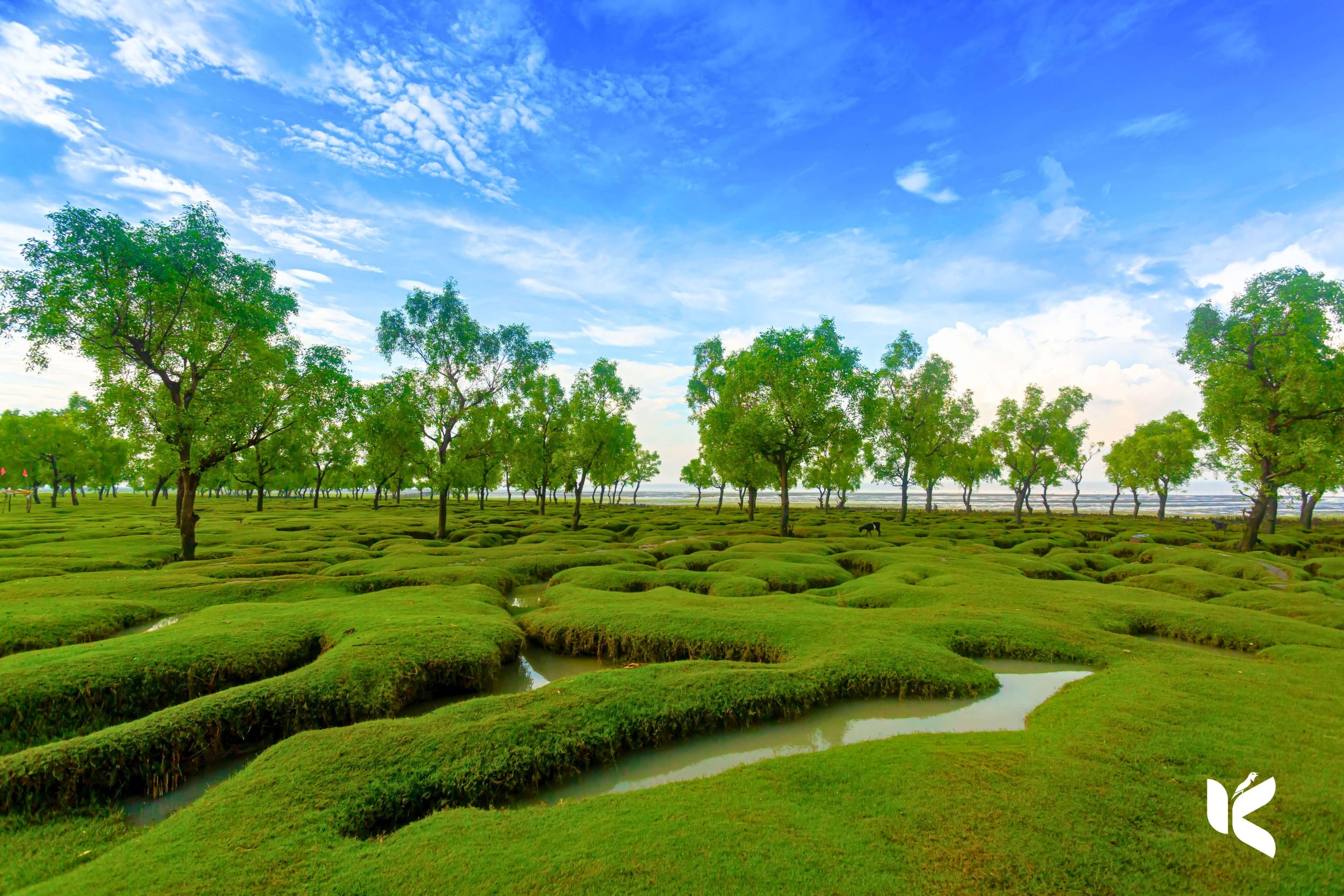 Rus jinsiy aloqa bokira olib ketdi