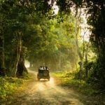 ভ্রমণে শিশুদের ভূমিকা ও কুহুডাক পার্ক - কুহুডাক
