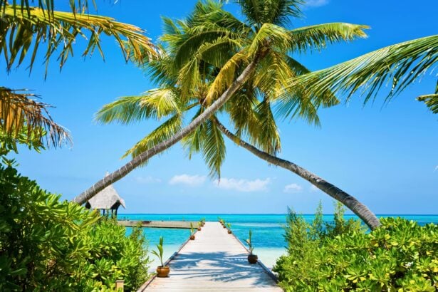 মালদ্বীপ যেতে কত টাকা লাগে - কুহুডাক