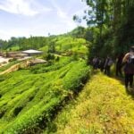 এগ্রো ট্যুরিজম কি - কুহুডাক