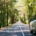 কোন দেশে বাঁদিকে আবার কোনও দেশে ডানদিকে গাড়ি চলে কেন - কুহুডাক