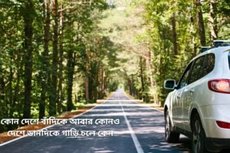 কোন দেশে বাঁদিকে আবার কোনও দেশে ডানদিকে গাড়ি চলে কেন - কুহুডাক